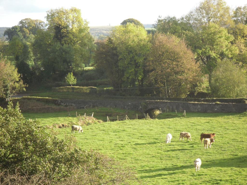 The Homecoming Barn Clogher 外观 照片
